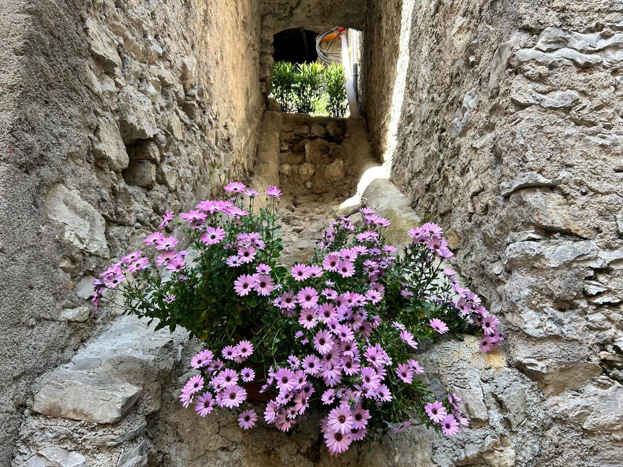 Studios Al Castello Dei Limoni 리몬네술가르다 외부 사진