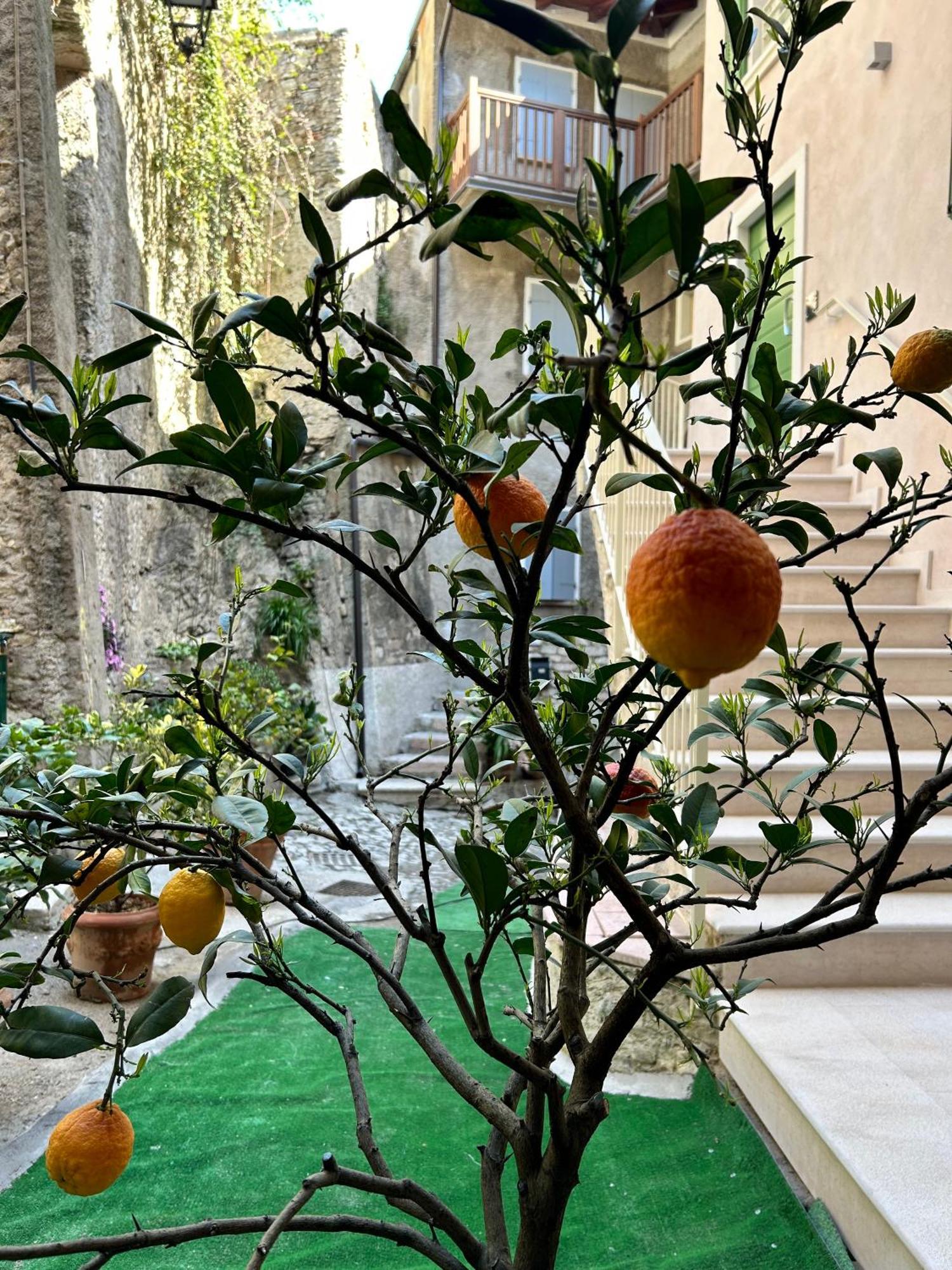 Studios Al Castello Dei Limoni 리몬네술가르다 외부 사진